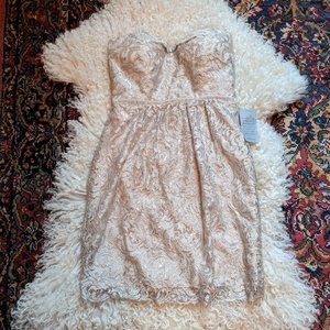 Jenny Yoo Strapless Lace Dress Size 4 "Sandstone"